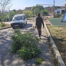 Выполнены работы по спилу сухих веток по ул. Кооперативная, д.51